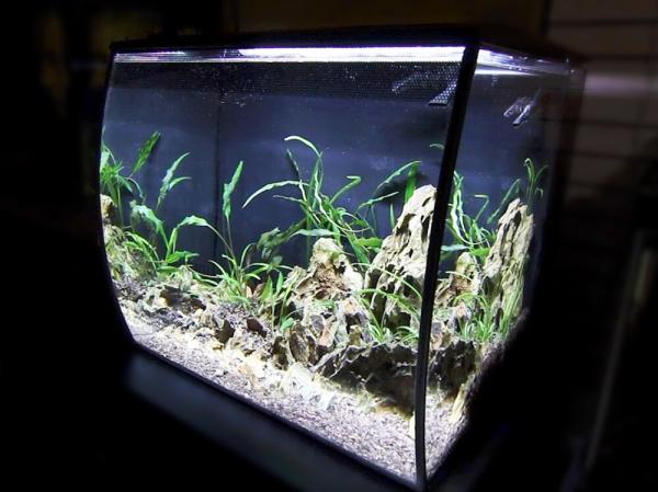 How many fish can I put in a Fluval Flex 57 litre aquarium?