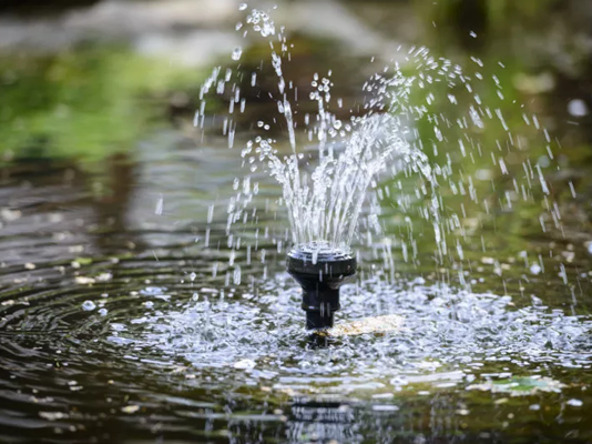 How to choose a solar-powered pond pump