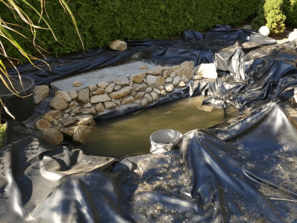 Everything You Need To Know About Swell UK Pond Liners