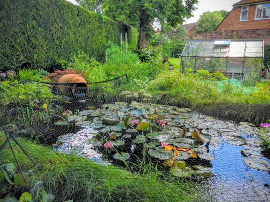 How to clean a pond without draining it
