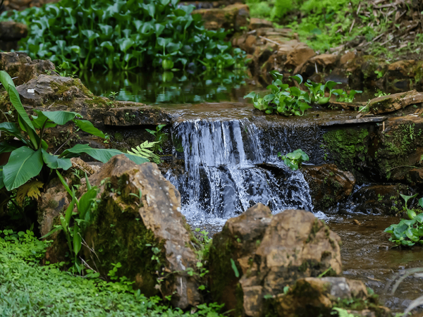 How To Build A Garden Waterfall: Ideas, Tips, And Advice