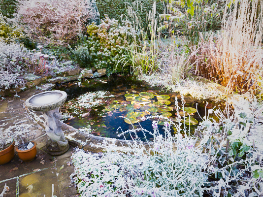 How to insulate your pond in winter