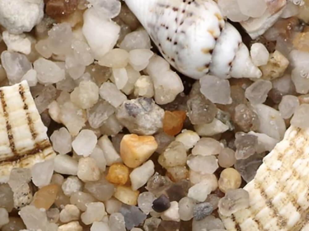 What is the best aquarium substrate?