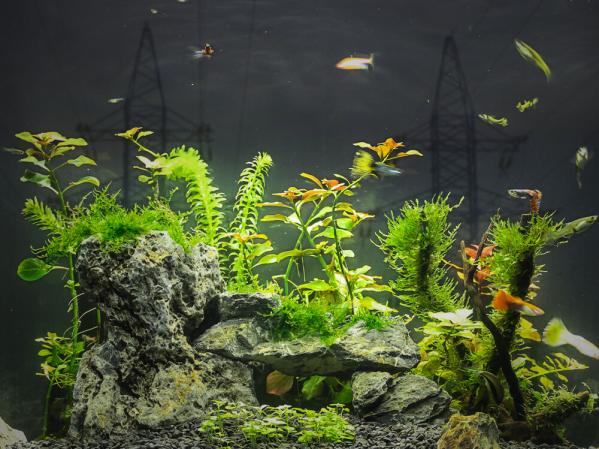 How much electricity does an aquarium use?