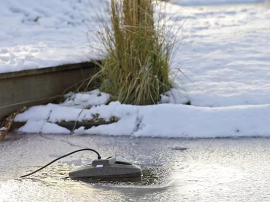 10 Essential pond tasks to do this winter