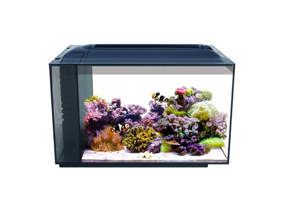 What's the best Clean-Up-Crew for a reef aquarium?