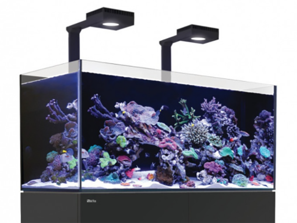 How to reduce nitrates in a marine tank