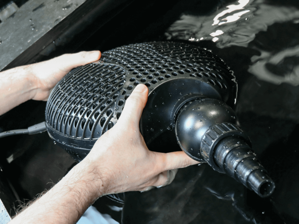 Everything You Need To Know About Swell UK Pond Pumps