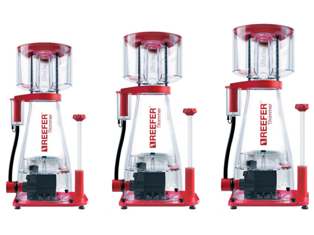 How does a protein skimmer work?