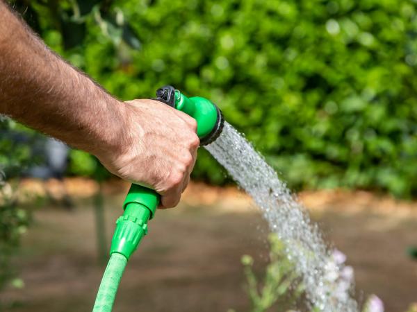 What does a hosepipe ban mean for UK ponds?
