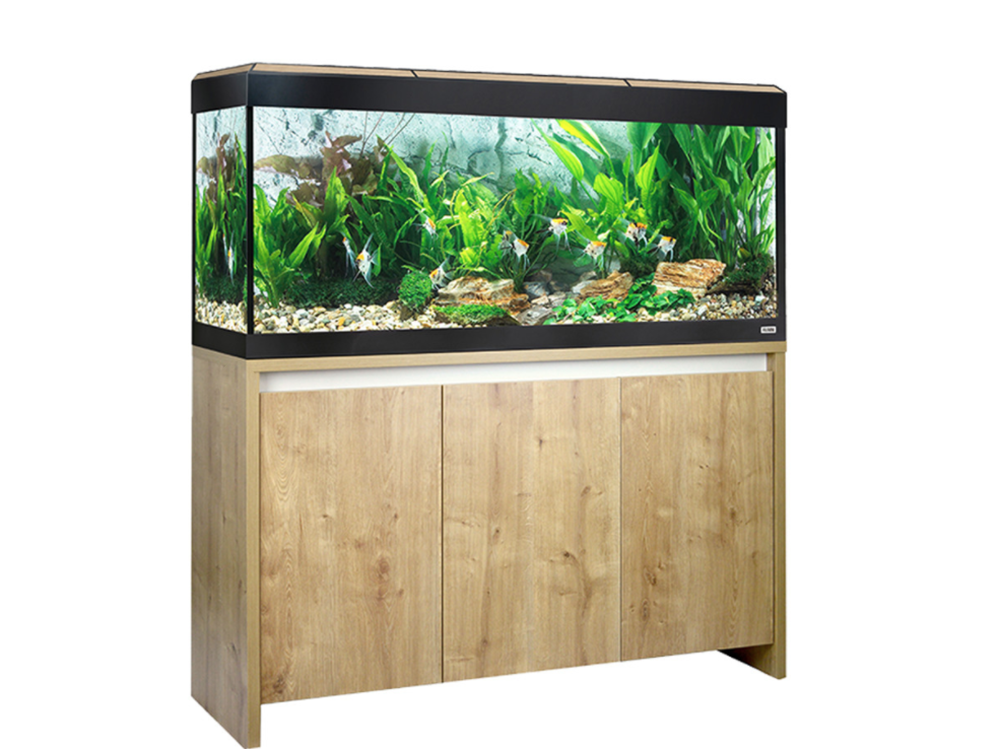 Which aquarium do I need for tropical fish?