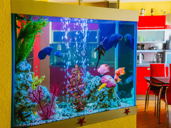 How often should you change the water in a tropical fish tank?