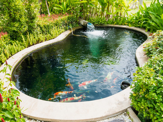 Pond volume calculator - how many gallons are in my pond?