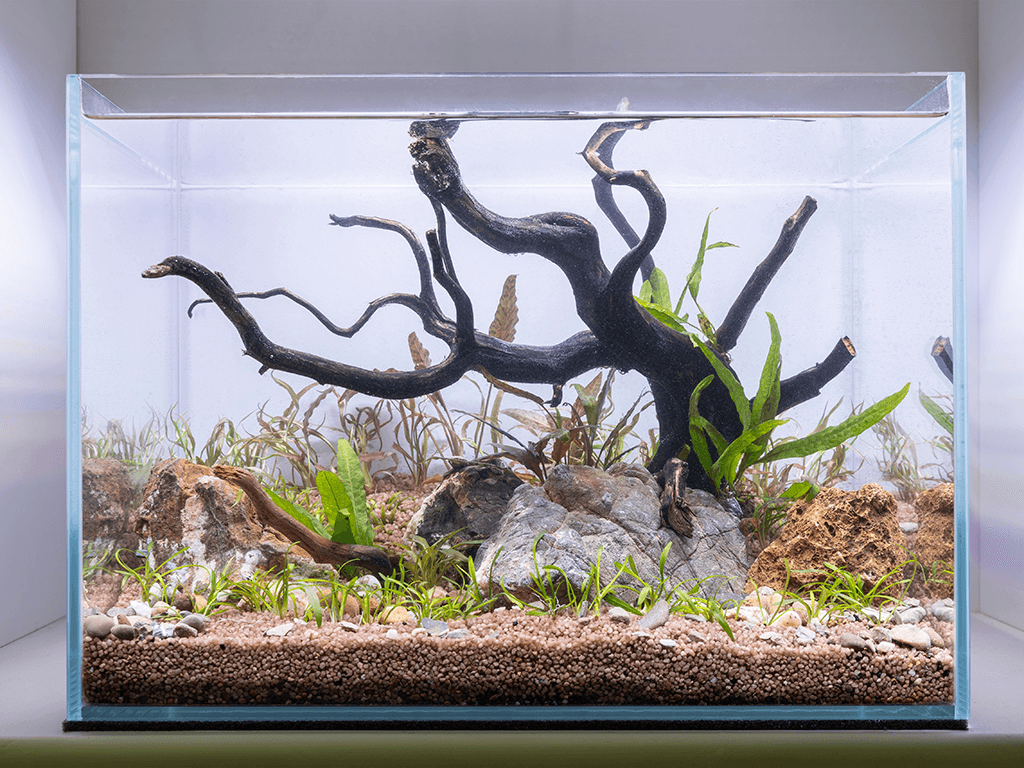 How To Build An Aquarium - DIY Fish Tank Guide