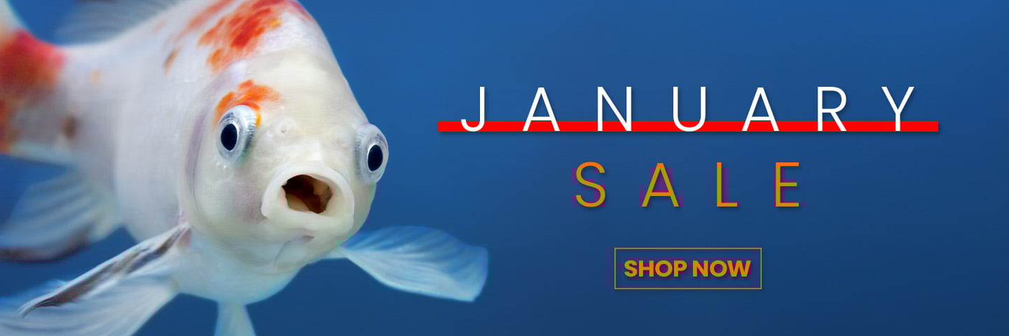 Pond Sale, huge savings on Swell pond products. Click to shop.
