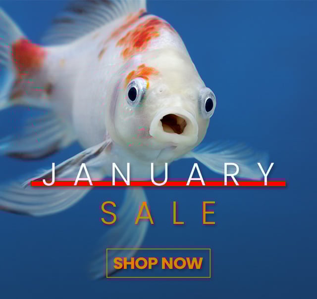 Pond Sale, huge savings on Swell pond products. Click to shop.