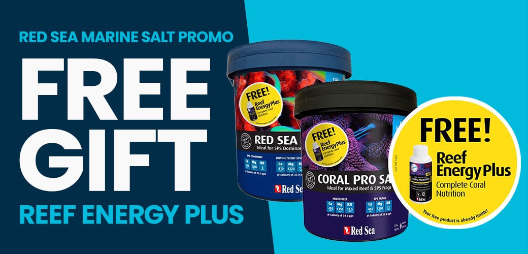 New in: Red Sea Reefrun G2 DC Pump