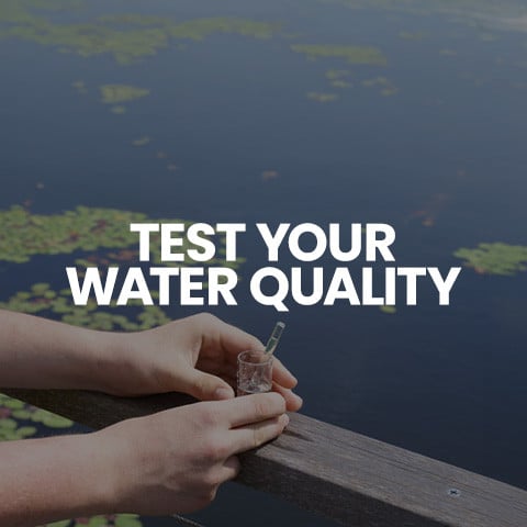 Click to shop pond water test kits.