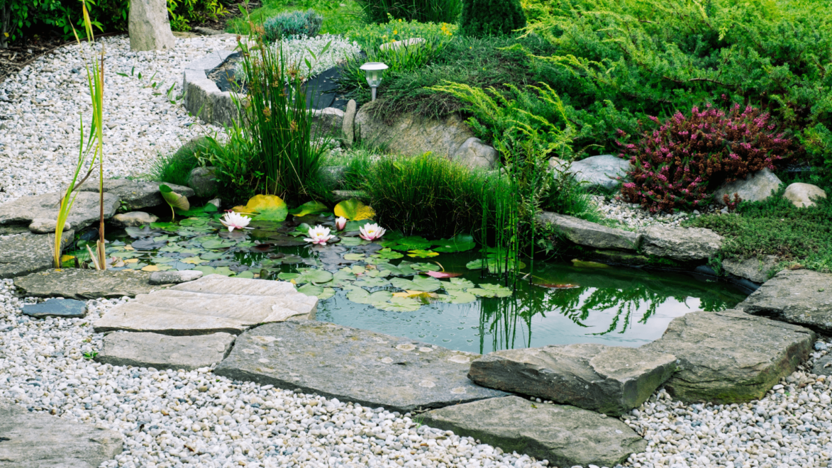 Most garden ponds have a foundation made by a pond liner