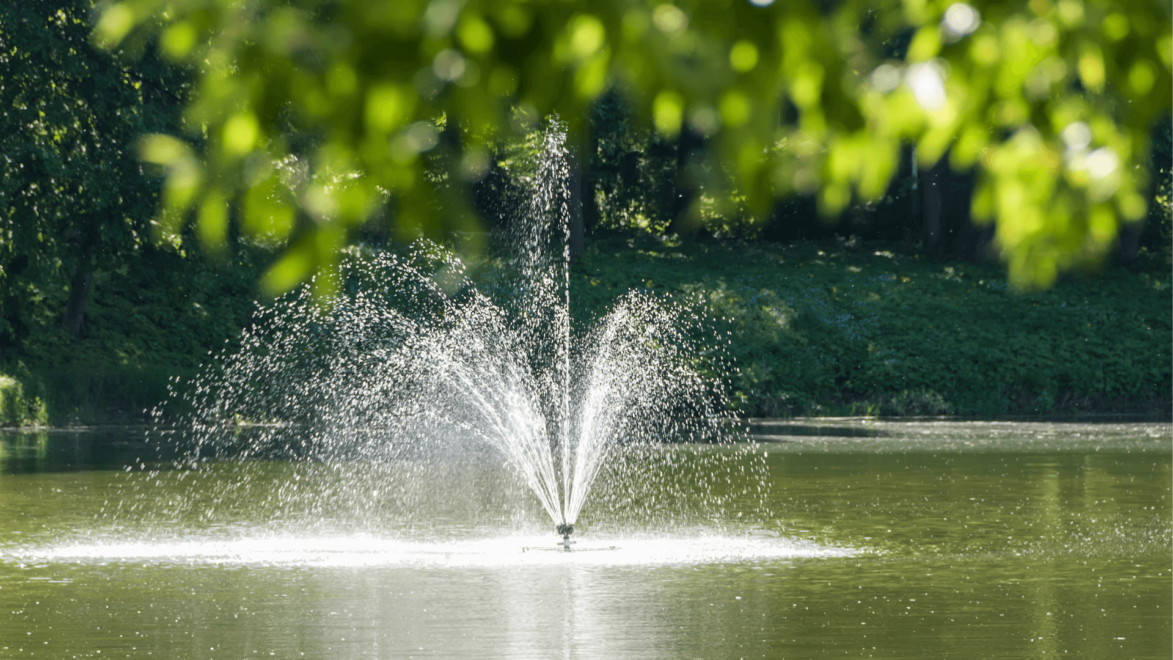 The best filters to use in conjunction with water features like pond fountains are pressure filters